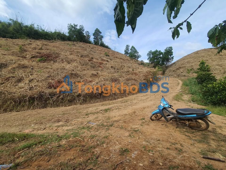 Đất nền Bảo Lâm 32000m² 6,67 tỷ - Sổ đỏ chính chủ