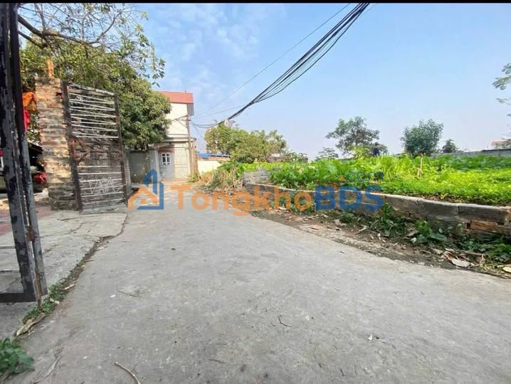 Đất nền Tốt Động - Chương Mỹ 58m² 1.7 tỷ - Đường ô tô tải