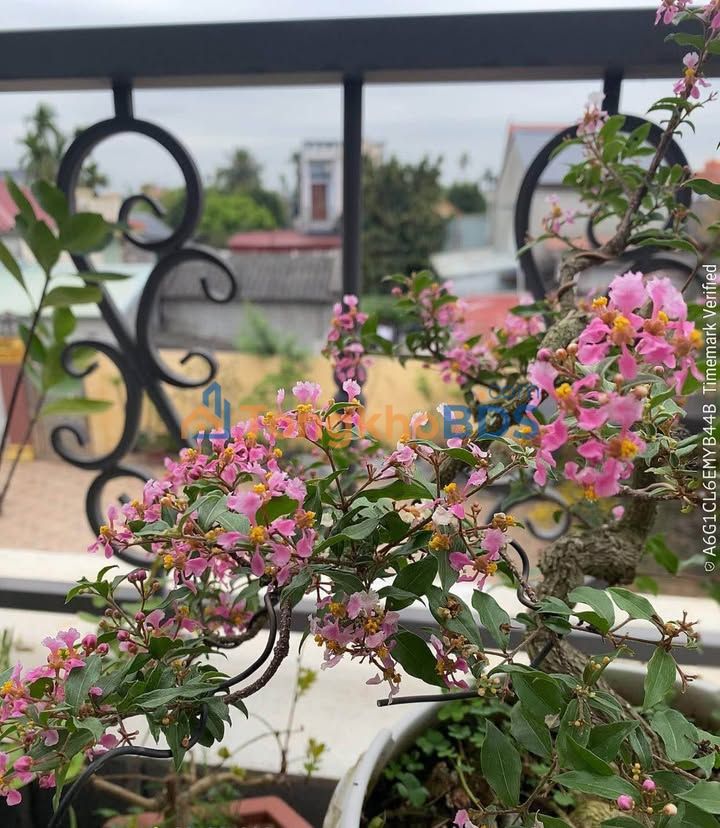 Nhà riêng Sâm Linh Minh Tân 160m² 3 tỷ - Chính chủ bán