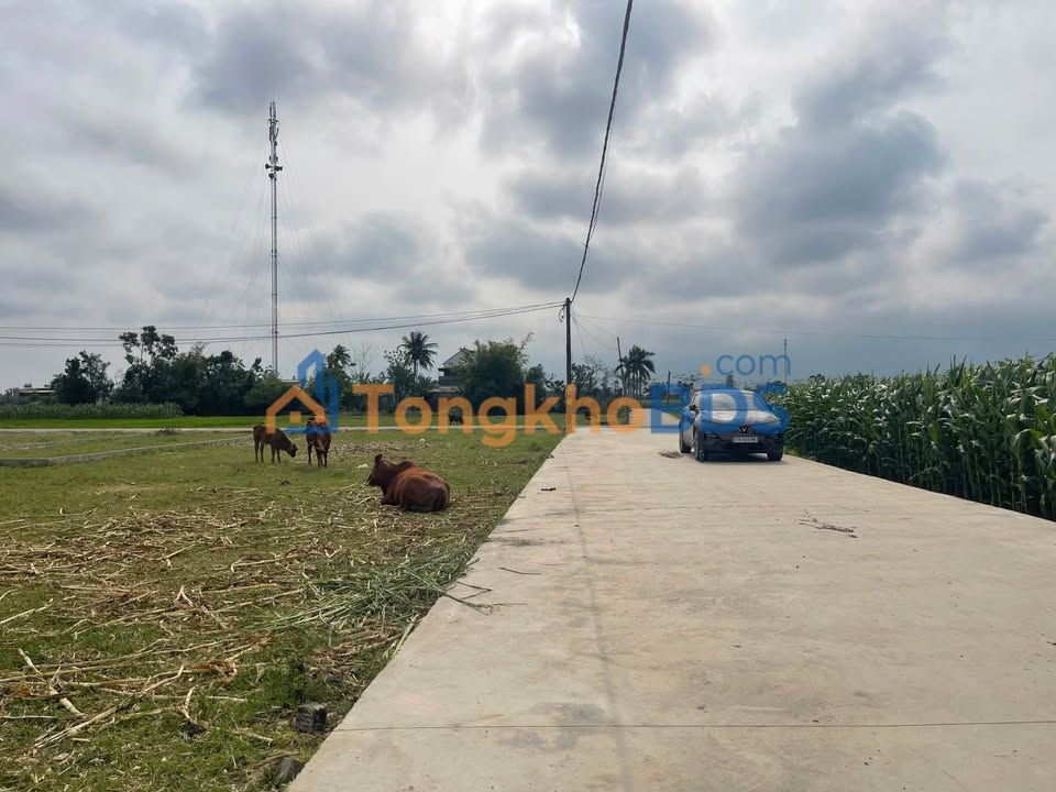 Đất nền Nghi Lộc 99m² giá 1,5 tỷ - Sổ đỏ chính chủ