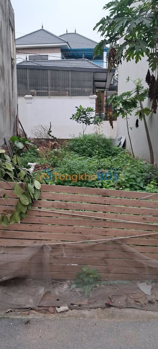 Đất nền Dương Quang, Gia Lâm 59m² - Ô tô đỗ cửa, giá chỉ hơn 3 tỷ