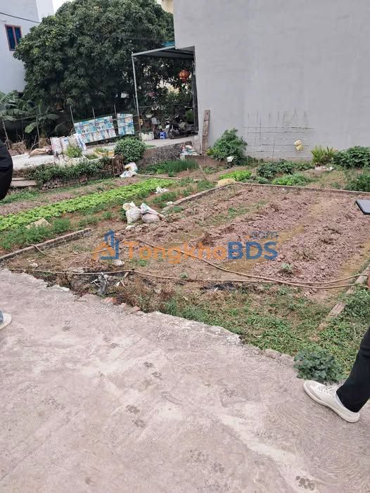 Bán Đất Lô Góc Sen Hồ, Thanh Xuân 47m² - Sổ Đỏ Chính Chủ, Giá 2.5 Tỷ