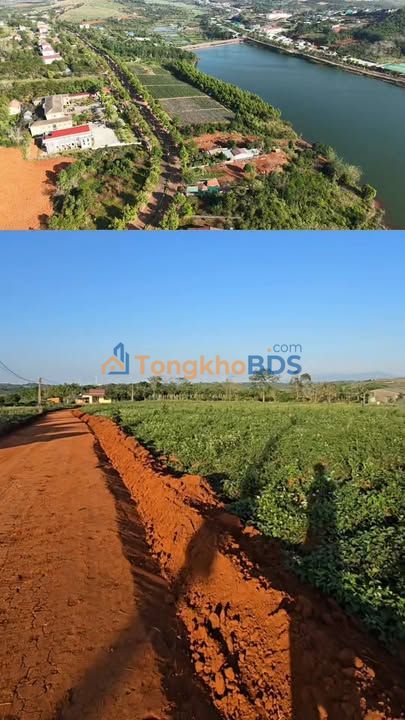 Đất nền Quảng Tâm Tuy Đức 3.2ha 3.7 tỷ - Giá tốt hiếm có