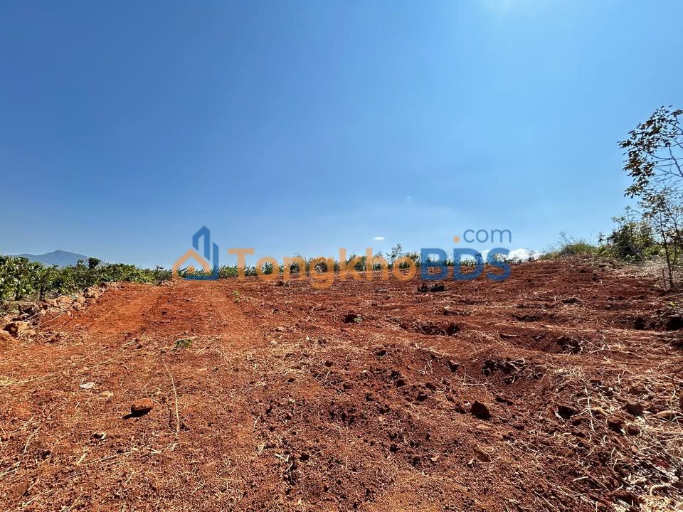 Đất vườn Đăk Djrăng 2,7ha giá thỏa thuận - Nghỉ dưỡng lý tưởng