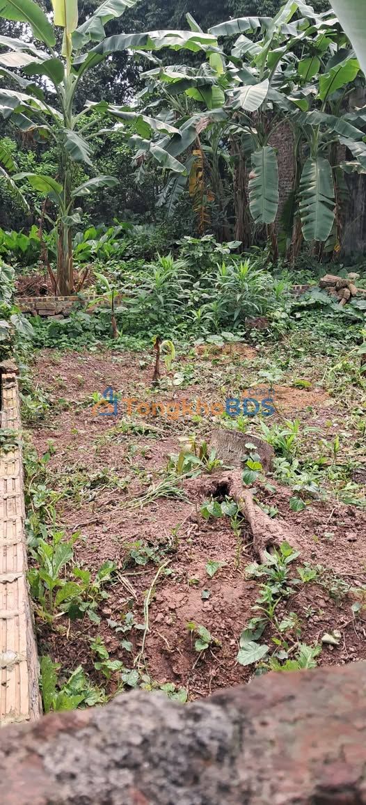 Đất nền Phú Thị Gia Lâm 43m² giá 2 tỷ - Giá tốt hiếm có