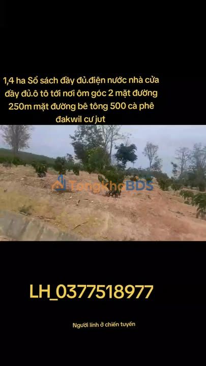 Đất vườn Đắk Wil Cư Jút 1,4ha 1,36 tỷ - Sổ hồng rõ ràng