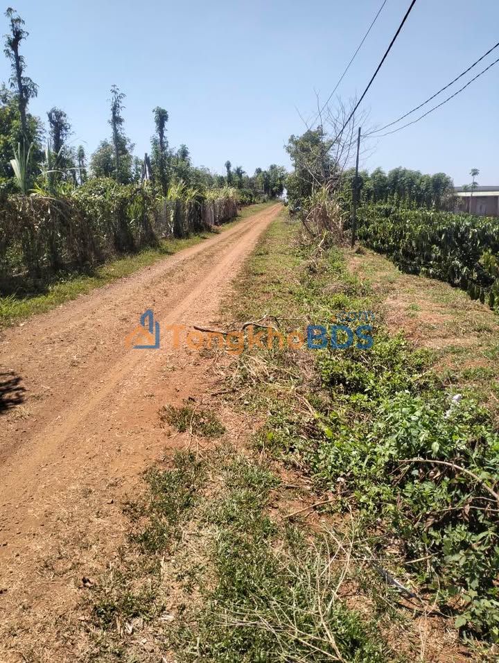 Đất vườn Trường Xuân Đắk Nông 1.07ha 3.2 tỷ - Sinh thái xanh