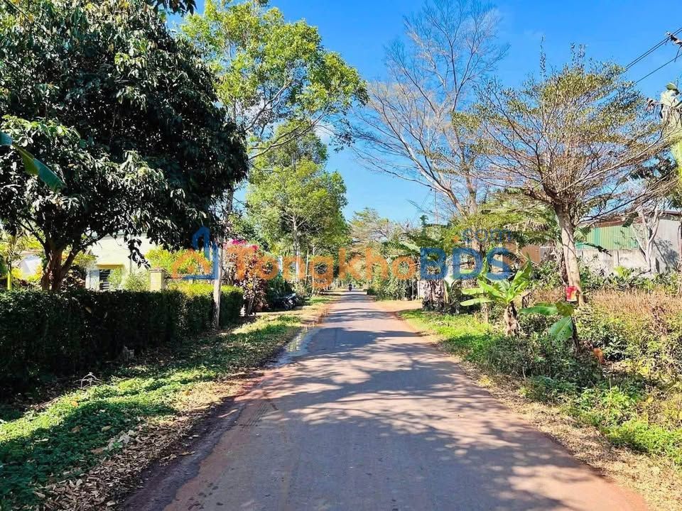 Nhà riêng BMT 125m² 1.55 tỷ - Ô tô vào tận nhà chính chủ