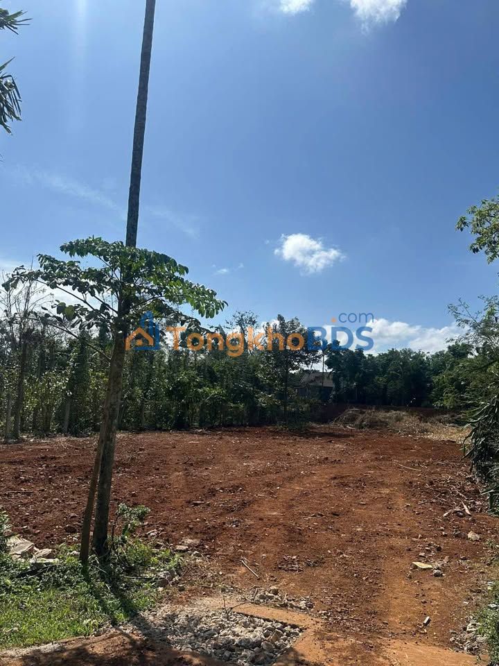 Đất nền Đường N2 Tân An 230m² 2.15 tỷ - Sổ đỏ chính chủ