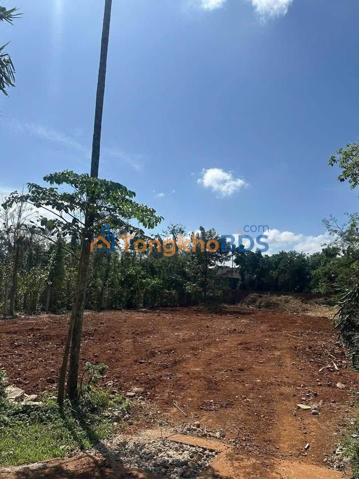 Đất nền N2 Buôn Ju Tân An 230m² 2.15 tỷ - Sổ đỏ