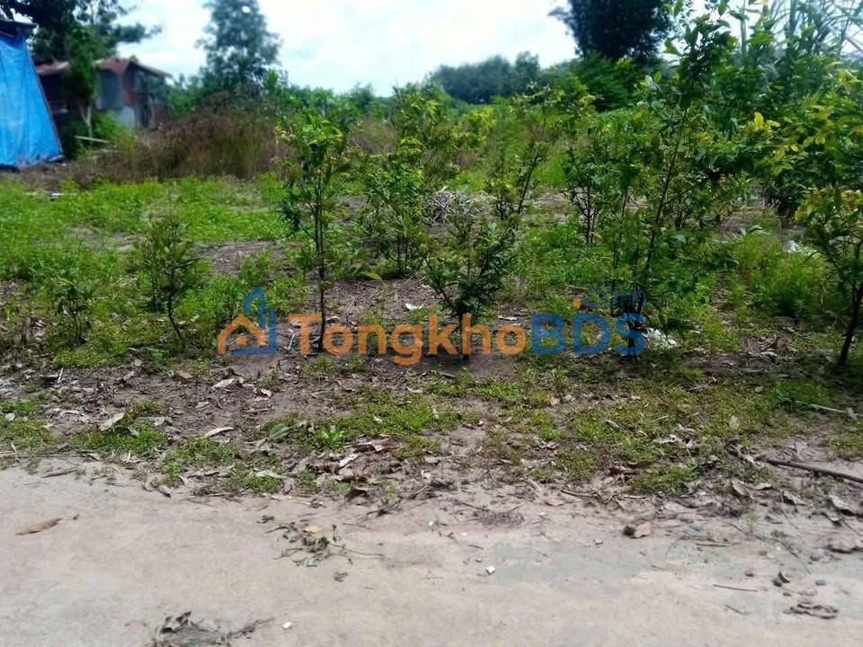 Nhà cho thuê Thạnh Bình 1421m² 15 triệu - Sẵn sàng ở ngay