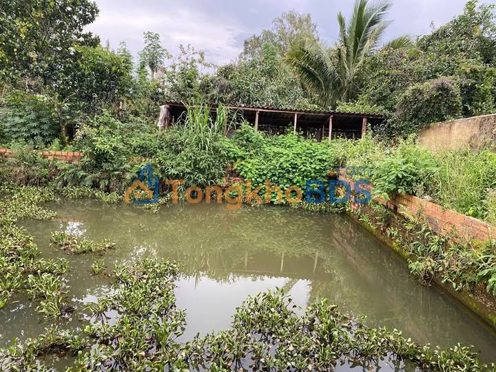 Bán Đất Tặng Nhà 880m² P.2, Bảo Lộc - Tiềm Năng Kinh Doanh Vượt Trội