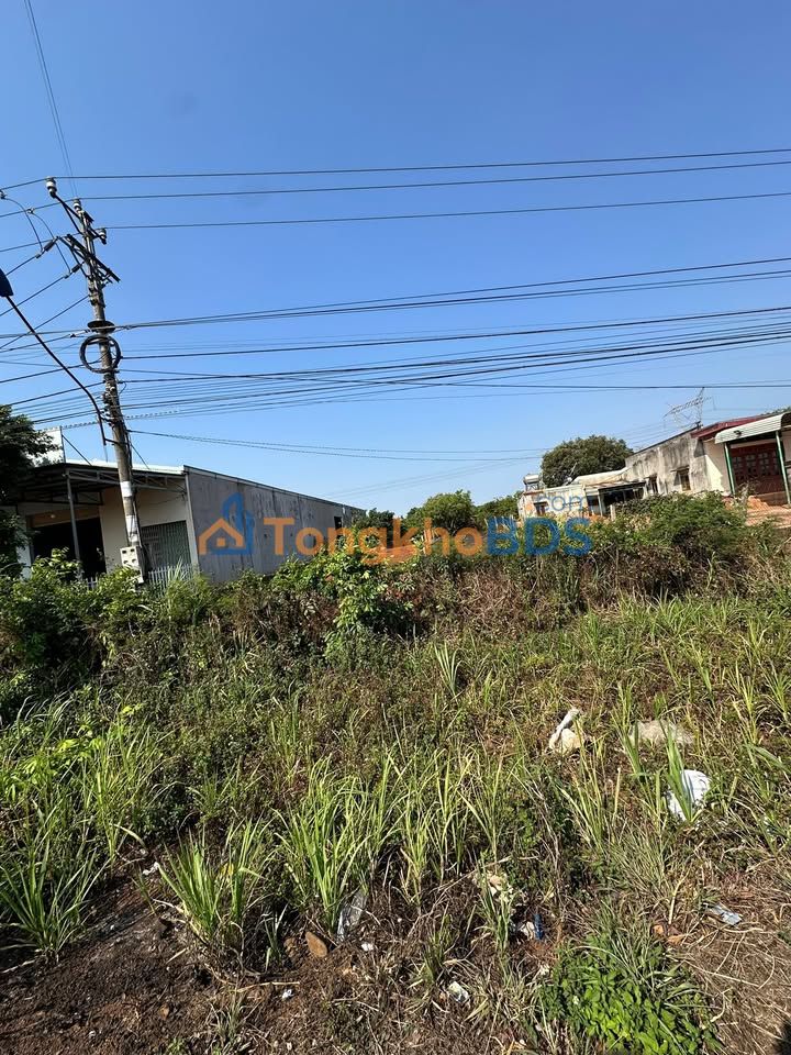 Đất nền Pleiku QL14 1.160m² 2.4 tỷ - Sổ đỏ chính chủ