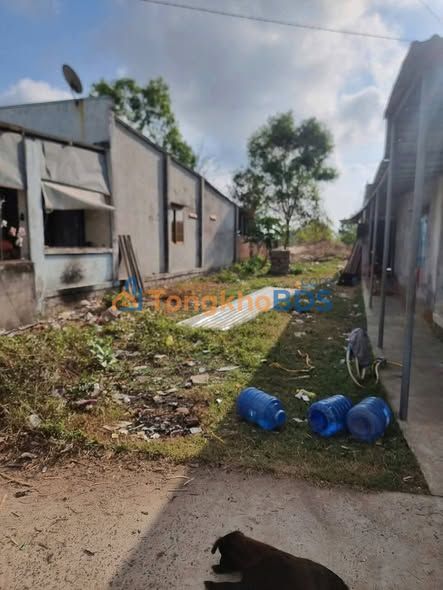 Bán Đất Thổ Cư 192m² Mặt Tiền Nguyễn Trãi, La Gi - Sẵn Sổ