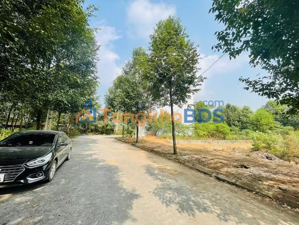 Đất nền Định cư ĐHQGHN Hà Nội 100m² - Sổ đỏ chính chủ