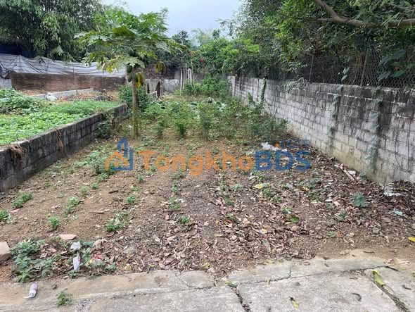 Đất nền Xã Phú Cát 111m2 2 tỷ - Tiềm năng tăng giá