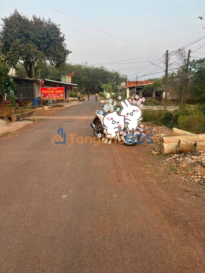 Đất nền Trục C2 Tân Phước Đồng Phú 250m² 800-899tr - Đất thổ cư 100%