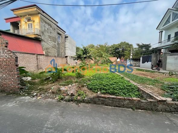 Đất Nền Sổ Đỏ Chính Chủ 55m² Làng Đức Hiệp, Thuận Thành - Giá Chỉ 2 Tỷ