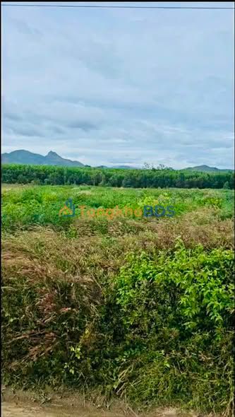 Đất Nền Mặt Đường 1461m² - Giá Đầu Tư 600 Triệu Tại La Gi