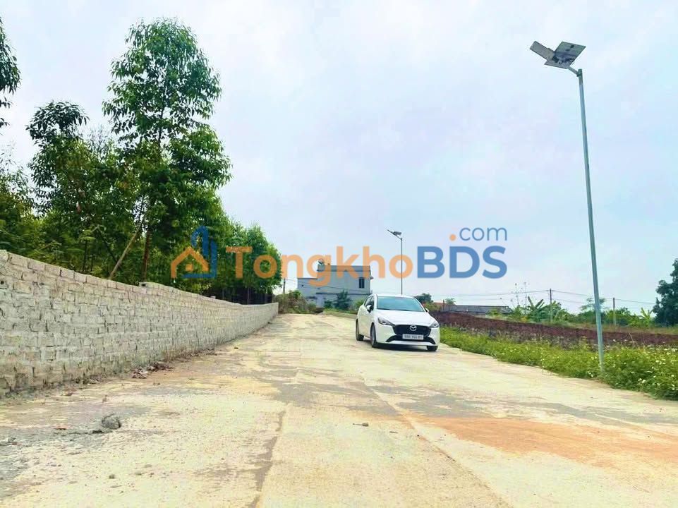 Đất nền Lan Mẫu Lục Nam 310m² giá 800-899 triệu - Sổ đỏ chính chủ