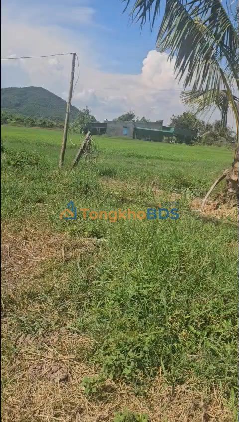 Đất nền Nguyễn Minh Châu La Gi 2628m² giá thỏa thuận - Đường to ô tô