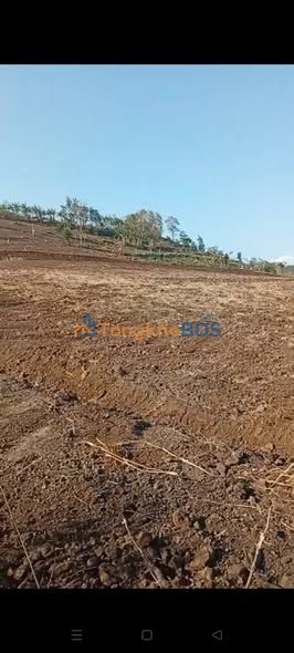 Đất nền Xã Đê Ar Gia Lai 30000m² giá 2.2 tỷ - Sổ đỏ chính chủ