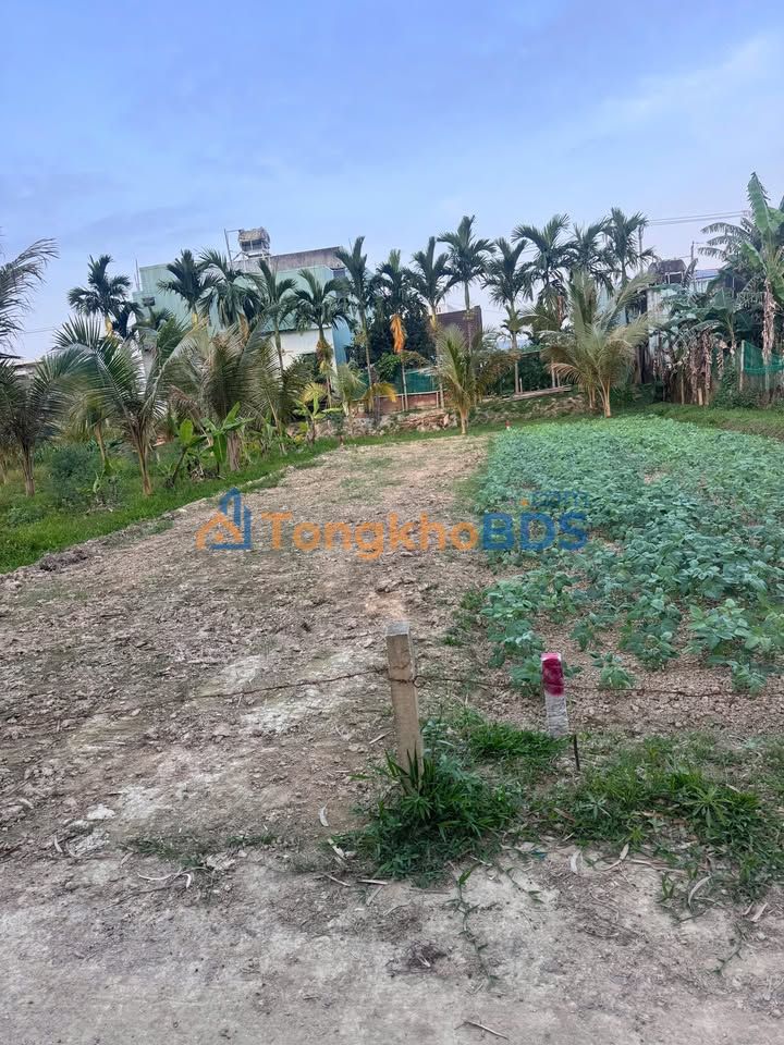 Đất Hòa Tiến Hòa Vang 131m² 1.4 tỷ - Sổ đỏ chính chủ