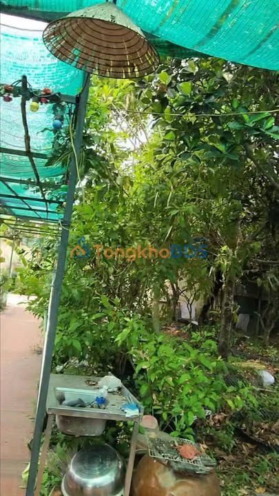 Đất vườn Bình Chánh 1.000m² giá 6,8 tỷ - Nghỉ dưỡng