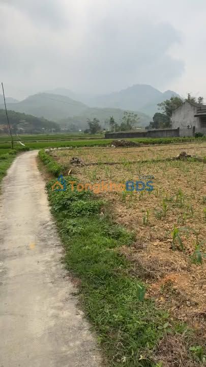 Đất nền Đồng Thịnh Yên Lập 121m² 220 triệu - Sổ đỏ chính chủ