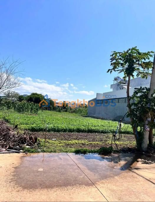 Đất nền Liên Nghĩa 145m² 1.949 tỷ - Sổ đỏ chính chủ