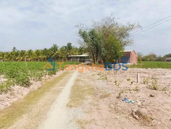 Đất nền Bàu Sen Hảo Đước 215m² giá 185 triệu - Giá tốt hiếm có