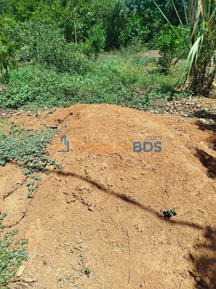 Đất thuê Long Thành 1,8 ha 90 triệu - Tiềm năng tăng giá