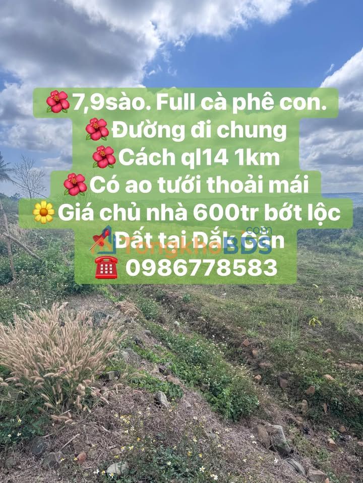 Đất vườn Đắk Gằn 2.844m² 600tr - Sinh thái xanh đầu tư