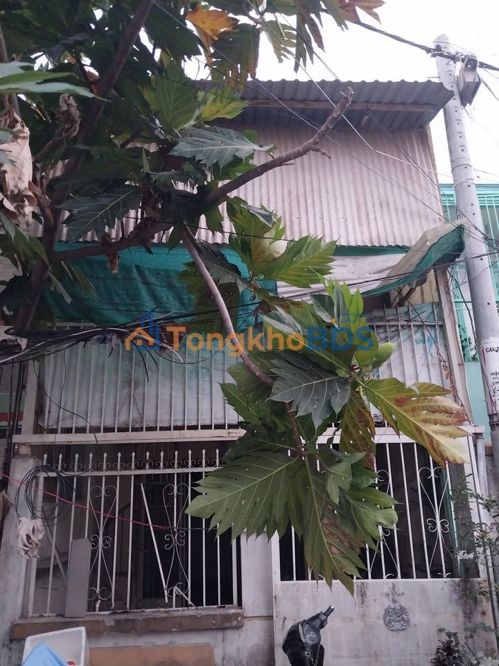 Nhà riêng Phú Xuân Nhà Bè 60m² 4.6 tỷ - Ô tô vào tận nhà