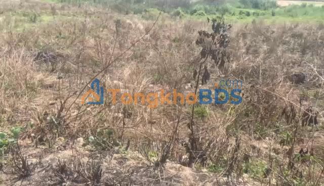 Đất nền Xã Đăk Tơ Ver, Chư Păh 1260m² - Sổ đỏ chính chủ