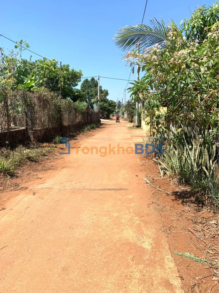 Đất Hẻm Dã Tượng Pleiku 125m² - 0.8 tỷ Sổ đỏ chính chủ