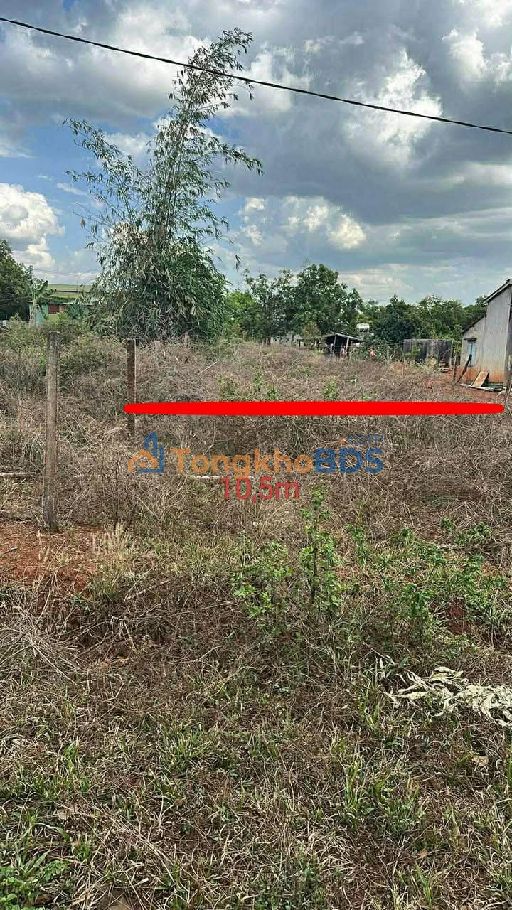 Đất nền Ia Krai 525m² giá 0.3 tỷ - Hạ tầng hoàn thiện