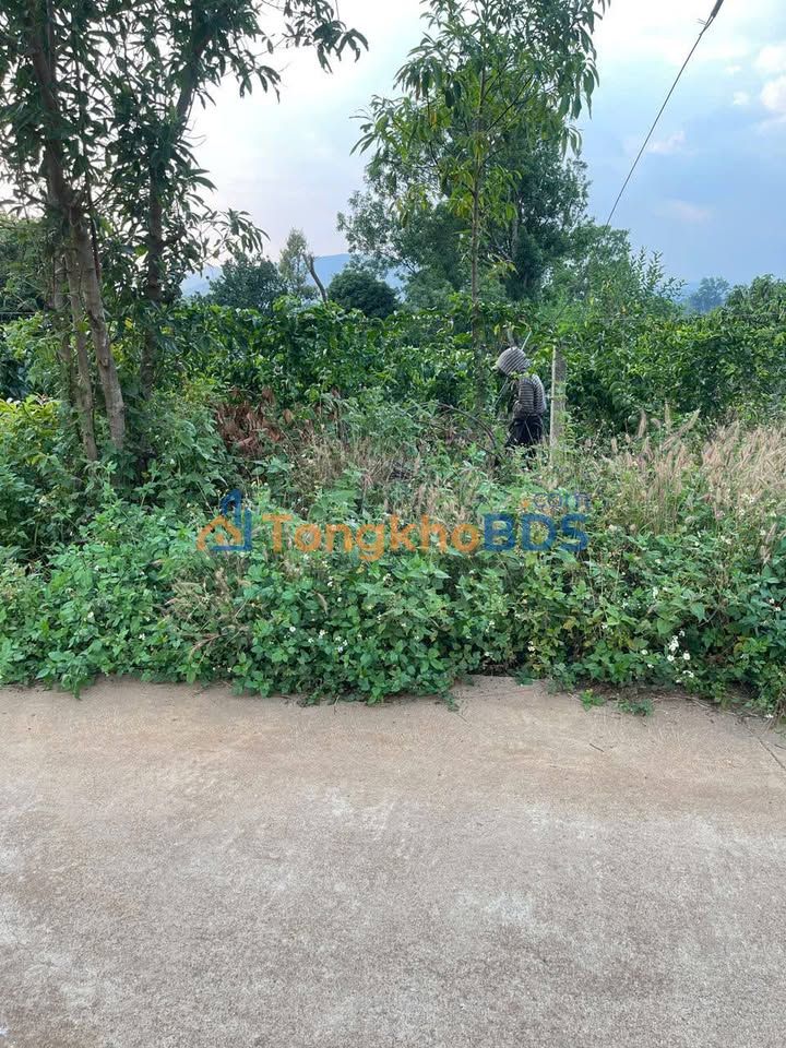 Đất nền Ia Kha 150m² 240 triệu - Giá tốt hiếm có