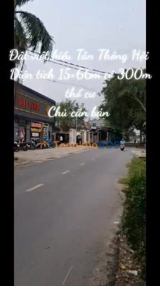 Đất Tân Thông Hội Củ Chi 990m² - Sổ đỏ chính chủ