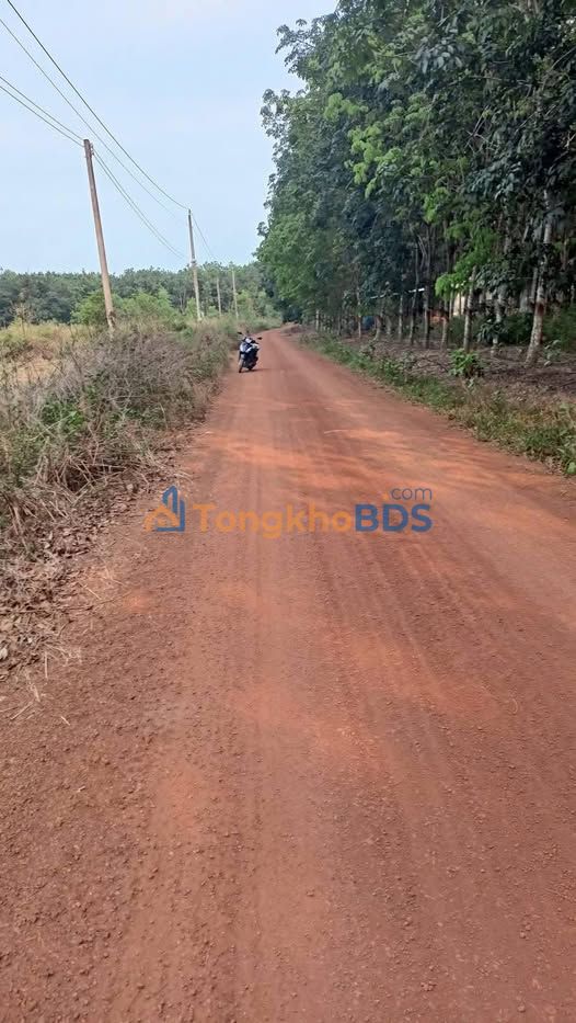 Đất nền Dĩ An 195m² giá 470 triệu - Sổ đỏ chính chủ