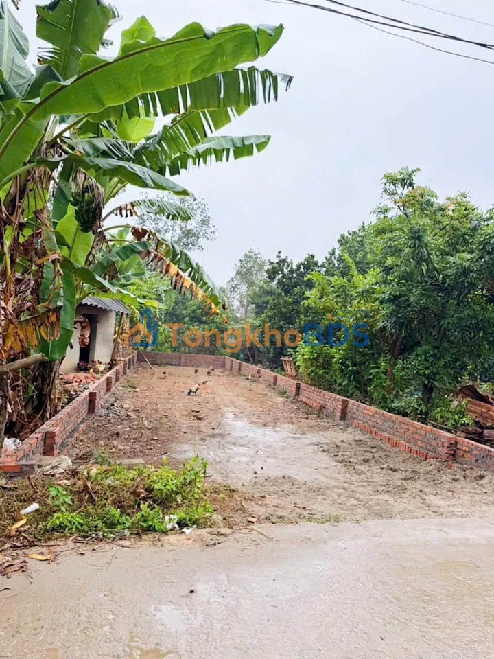 Đất nền Thôn 3 Tân Xã 110m² giá thỏa thuận - Tiềm năng tăng giá