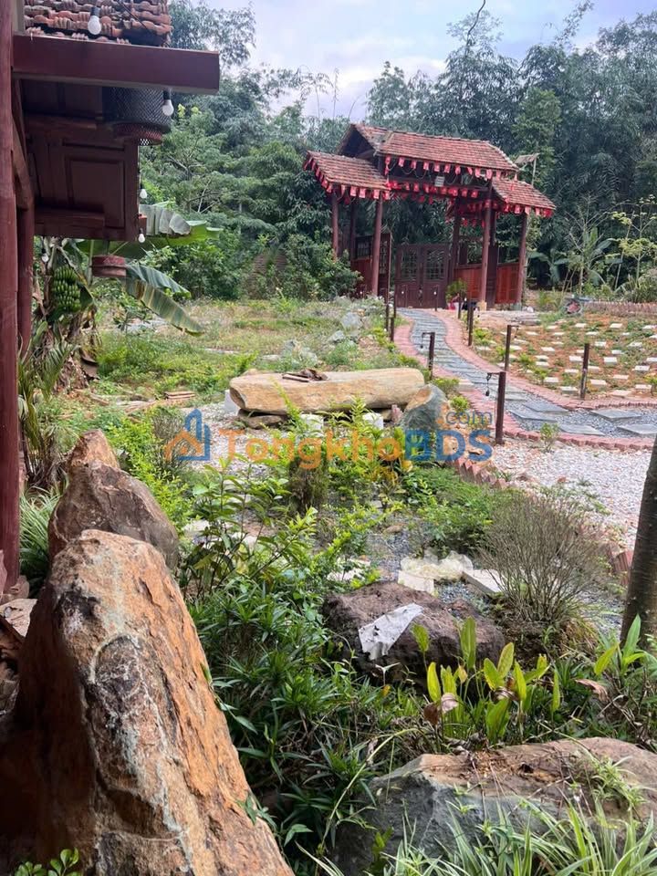 Đất Ba Vì Hà Nội 2.613m² 5 tỷ - Đầu tư dài hạn