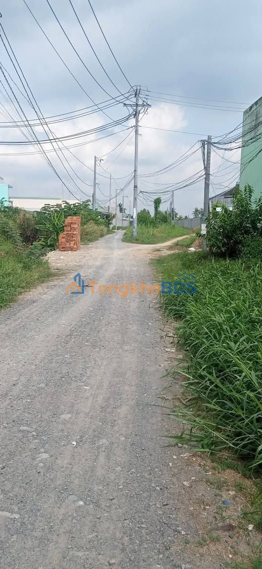 Bán Đất Vườn Tặng Nhà Lương Hòa, Bến Lức 260m² Thổ Cư, Giá 5.3 Tỷ