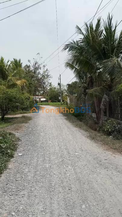 Nhà cấp 4 Gò Dầu 100m² giá 7xx triệu - Sẵn sàng ở ngay