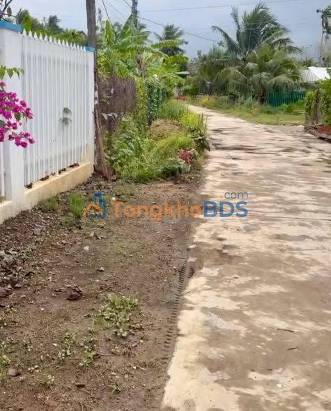 Đất nền Ninh Quang Ninh Hòa 100m² 3xxtr - Đường to ô tô