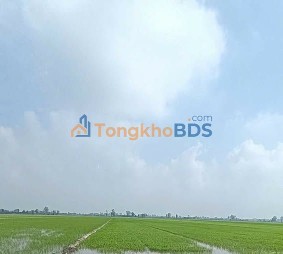 Bán Đất Nền 900m² Lộ Thổ, Kinh Đông - Sổ Hồng Chính Chủ, Giá 2.8 Tỷ