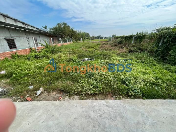 Đất Nền Hậu Nghĩa 290m² - Sổ Riêng, Giá 1.6 Tỷ, Gần Vingroup