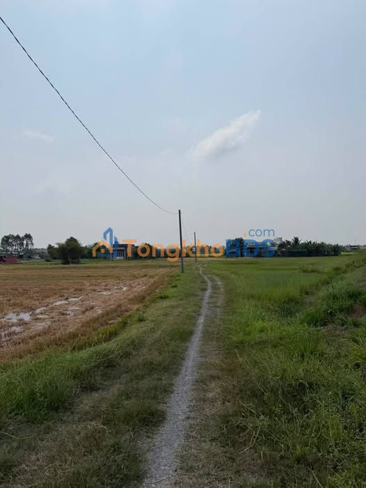 Đất Hòa Khánh Nam Đà Nẵng 150m² 550tr - Sổ đỏ chính chủ