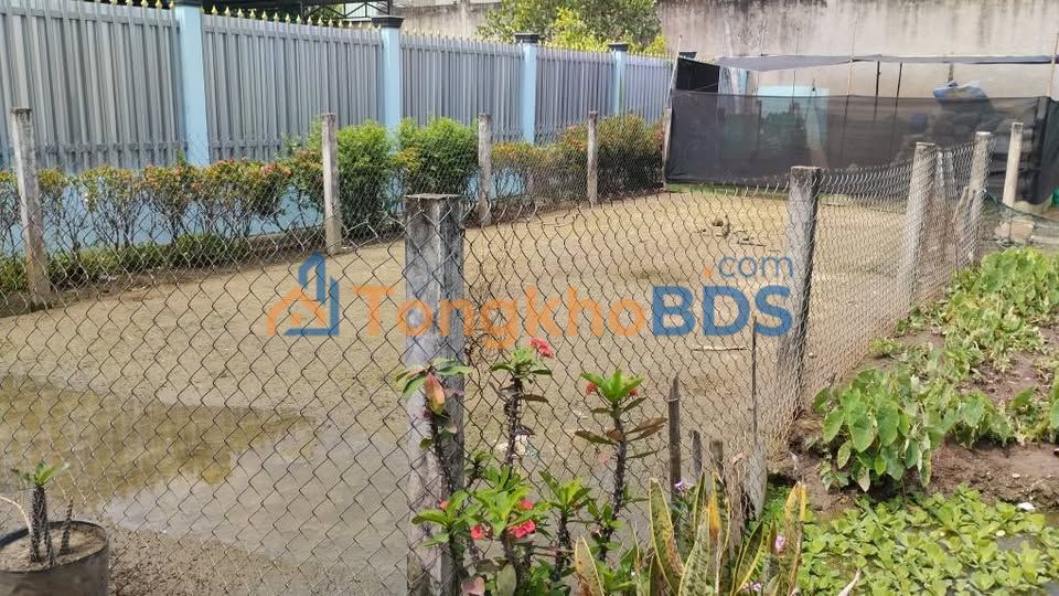 Đất nền Long Trạch 100m² 850 triệu - Sổ đỏ chính chủ