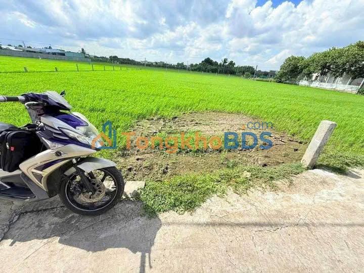 Đất Long Hiệp Bến Lức 2.200m² 3,2 tỷ - Sổ đỏ chính chủ